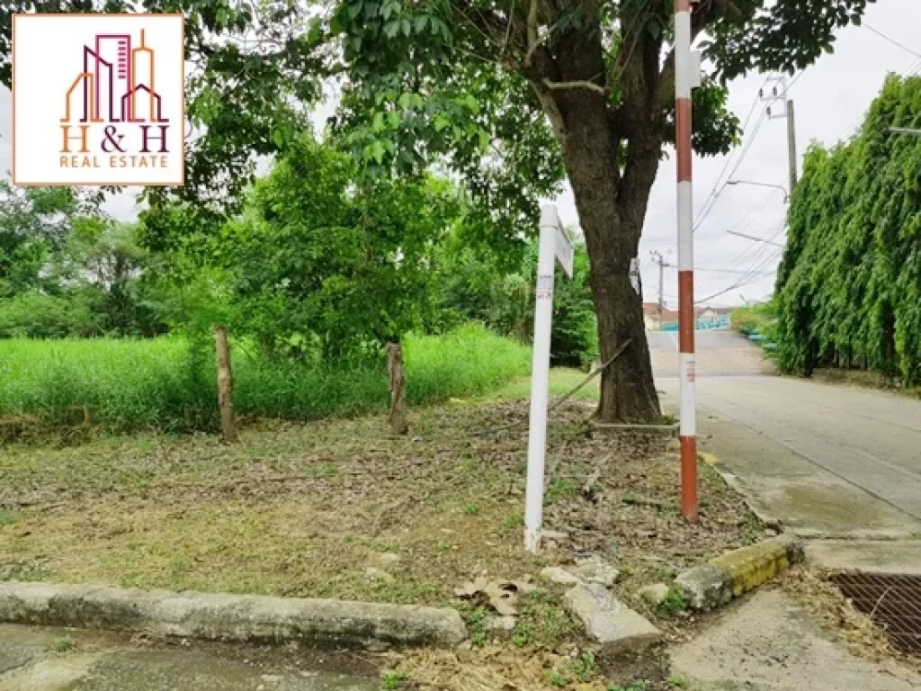 ที่ดินพุทธมณฑลสาย3 319ตรว กฤษดานคร18