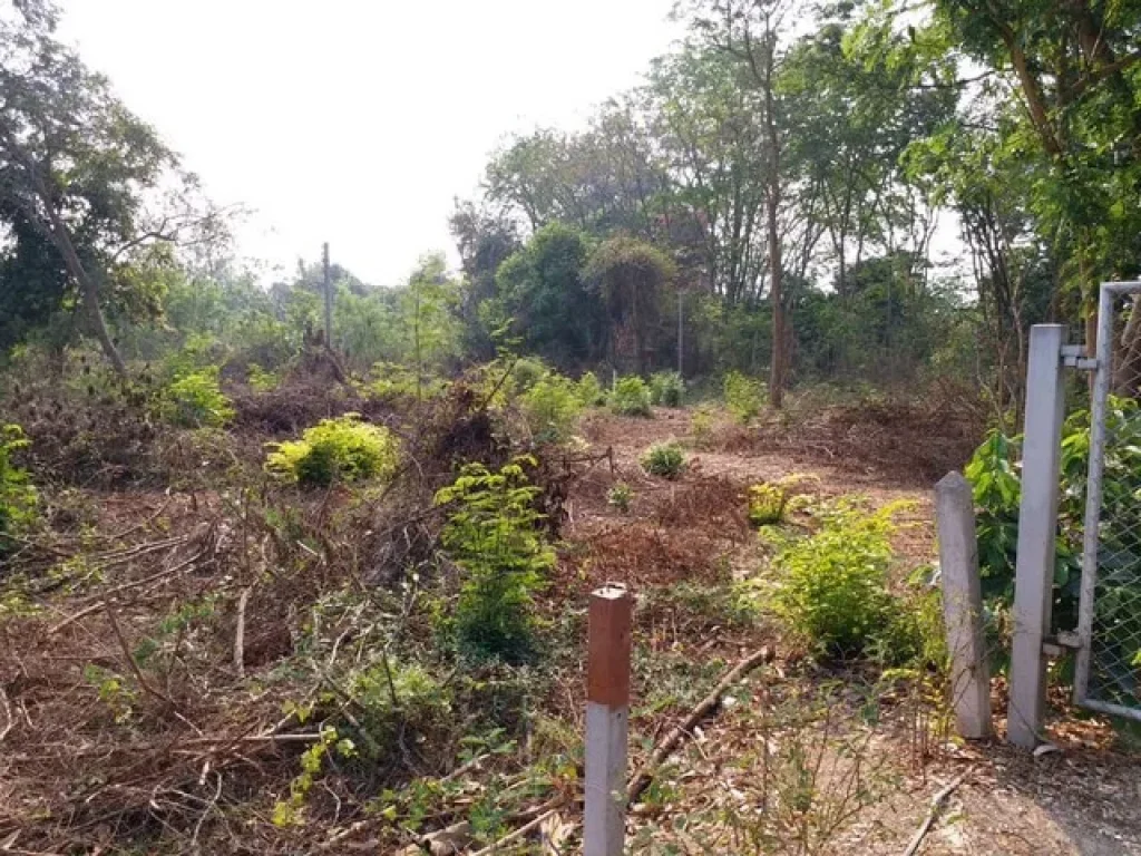 ขายที่ดินเปล่า จังหวัดสุพรรณบุรี เนื้อที่ 3-2-50 ไร่ ที่สวย ทำเลดี