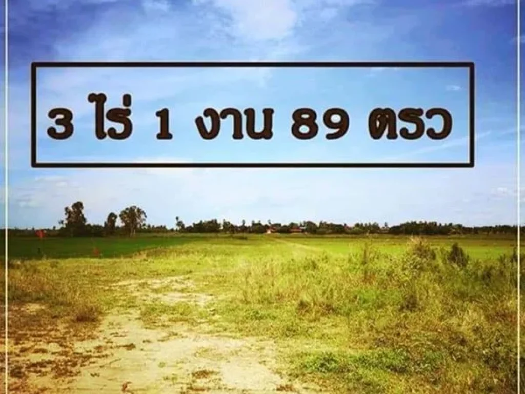 ขายที่ดิน ตกระจัน ออู่ทอง จสุพรรณบุรี 3ไร่ 1งาน 89 ตารางวา ถมที่ดินแล้ว ติดถนนลาดยาง มีน้ำปะปา ไฟฟ้า เหมาะจะอยู่อาศัยและเพาะปลูก