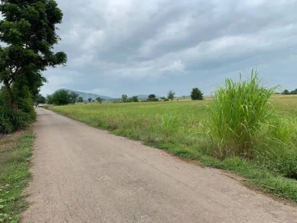 ขายที่ดิน5-2-42 ไร่ ใกล้สวนนกชัยนาท เมืองชัยนาท 58 ล้านบาท