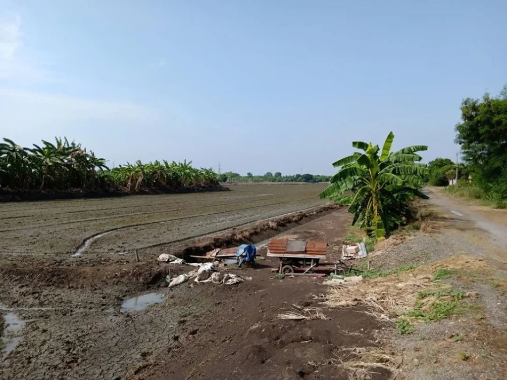 ขายที่ดินทำเกษตร โรงงาน โกดัง ปทุมธานี น้ำไฟพร้อม 31 ไร่เศษ