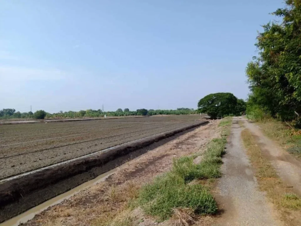 ขายที่ดินทำเกษตร โรงงาน โกดัง ปทุมธานี น้ำไฟพร้อม 31 ไร่เศษ