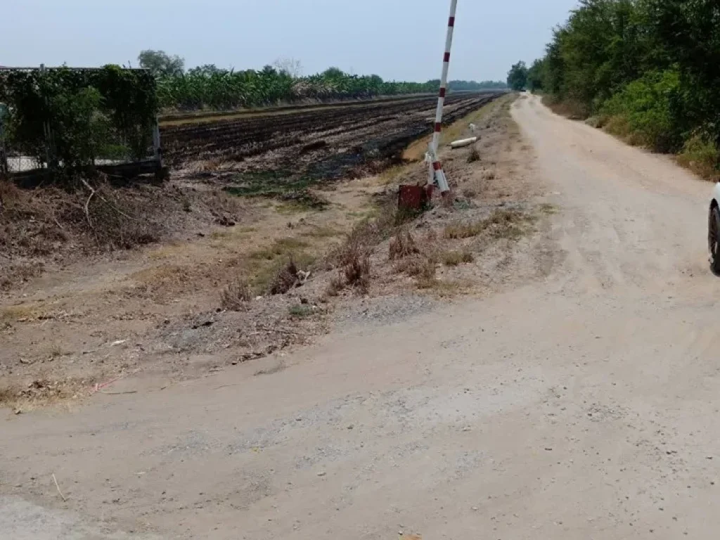 ขายที่ดินทำเกษตร โรงงาน โกดัง ปทุมธานี น้ำไฟพร้อม 31 ไร่เศษ