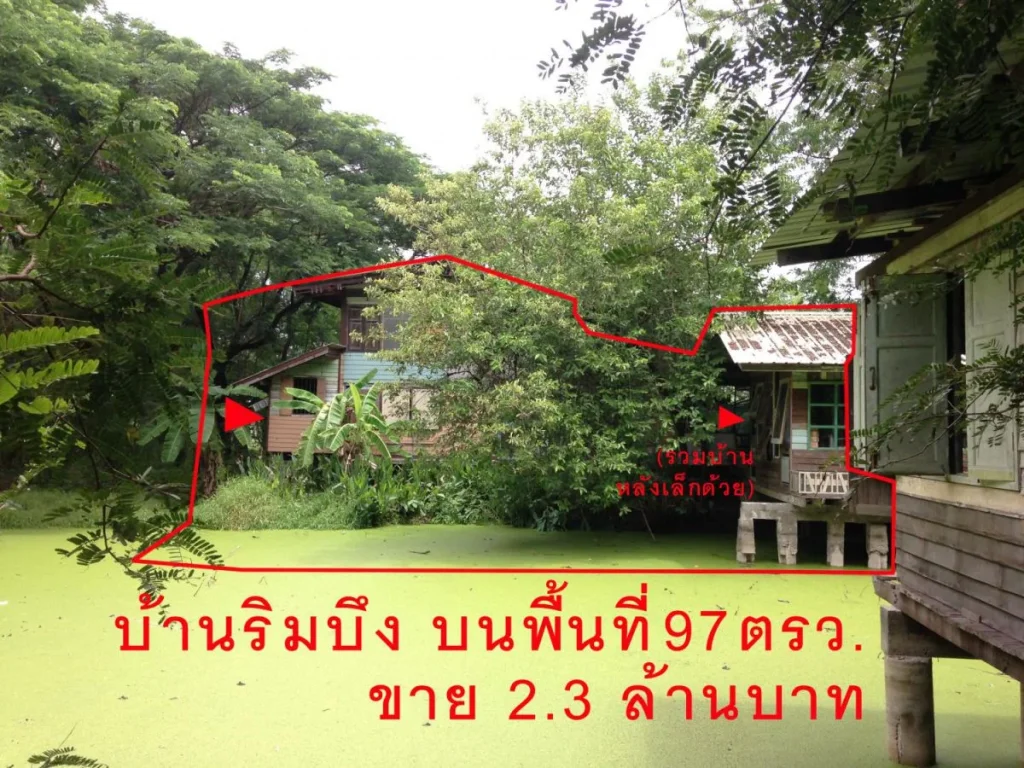 ขายบ้านและที่ดินเมืองนครปฐม 38 กมจากมศิลปากร บ้านหลังละ12ล้าน ที่ดินแบ่งขาย 50 ตรว6แสน 2กมถึงแมคโคร