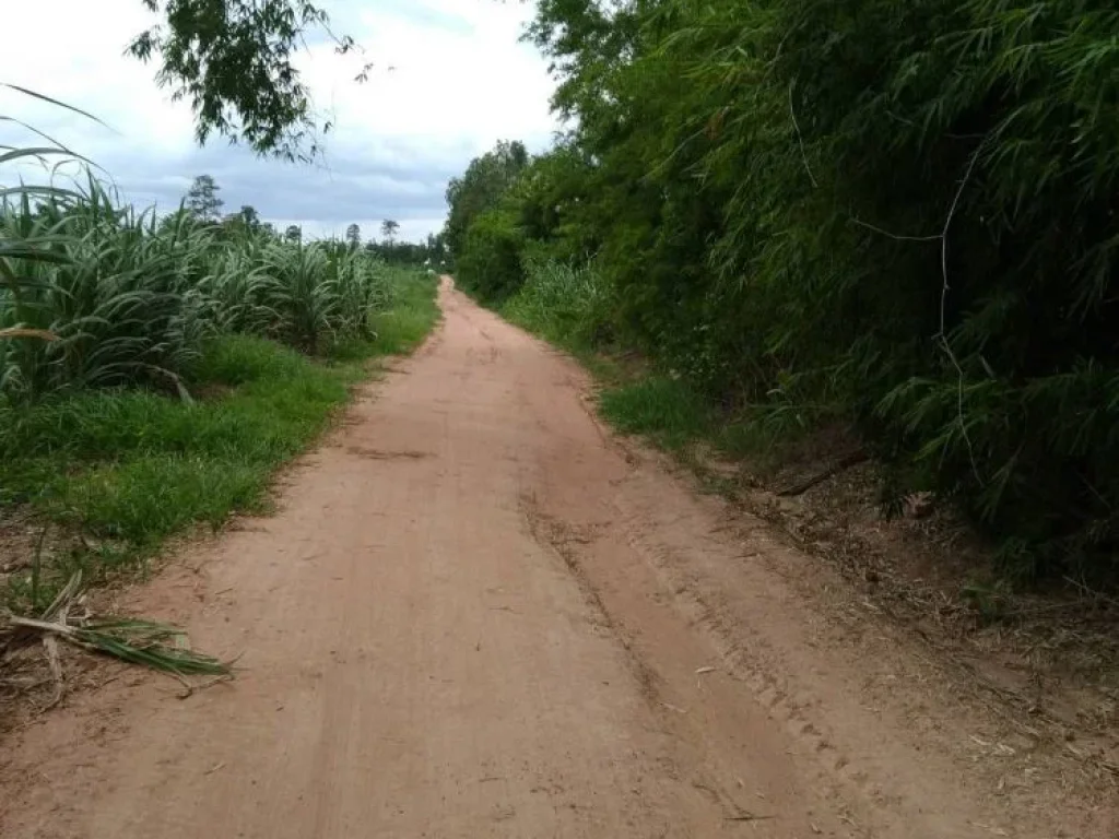 ที่ดินมีโฉนด บ้านดอนหัน อเกษตรสมบูรณ์ จชัยภูมิ