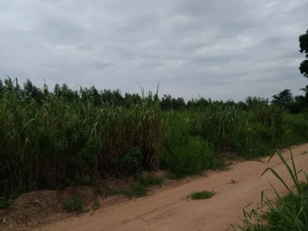 ที่ดินมีโฉนด บ้านดอนหัน อเกษตรสมบูรณ์ จชัยภูมิ