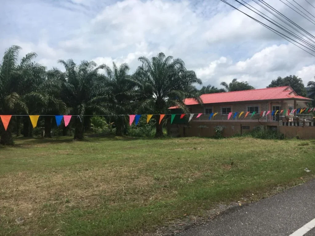 ขายที่ดินโฉนดติดถนนดำ