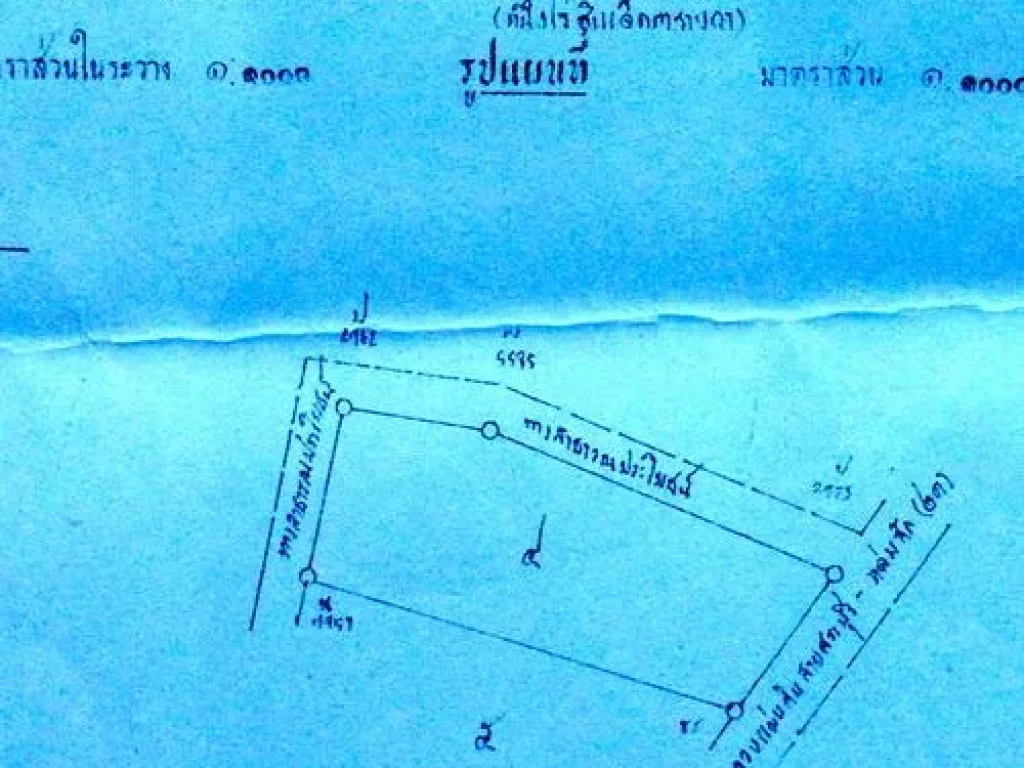 ขายที่ 1 ไร่ ติดถนนใหญ่ 4 เลน สาย 21 หน้ากว้างประมาณ 30 กว่าเมตร ติดทางสาธารณะทั้ง 3 ด้วน