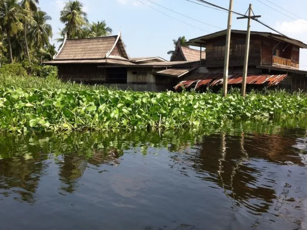 ขายด่วนบ้านไม้สักริมคลองบางกอกน้อยพร้อมที่ดิน