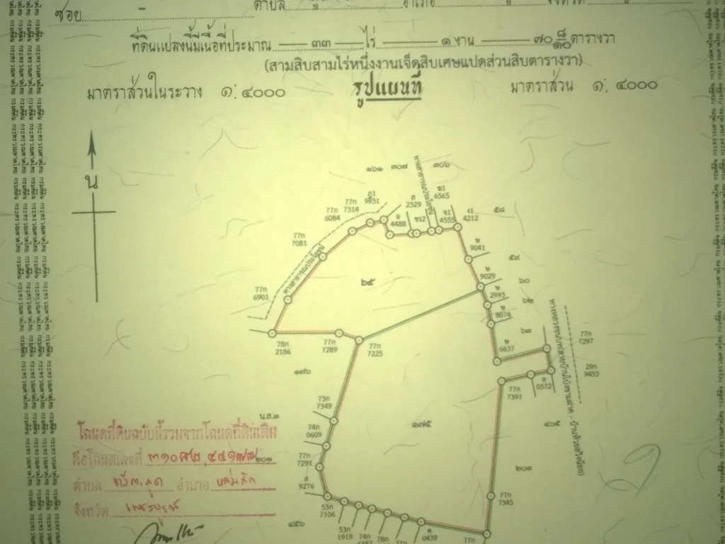 ขายที่ดินโฉนด 33170 ไร่พร้อมสักอายุ 16 ปี 8400 ต้น