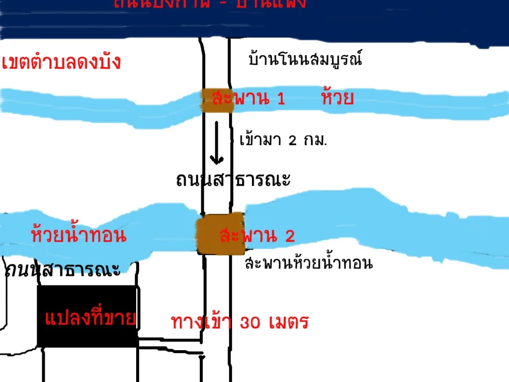 ที่ดิน พร้อม ไร่เงาะ 4 ไร่ เศษ