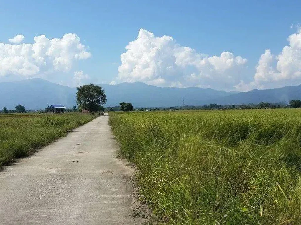 ที่วิวเขาบรรยกาศดี