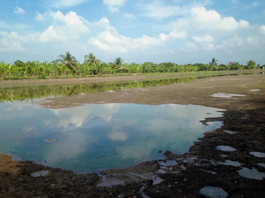 ขายที่ดิน 20 ไร่ ปริมณฑล