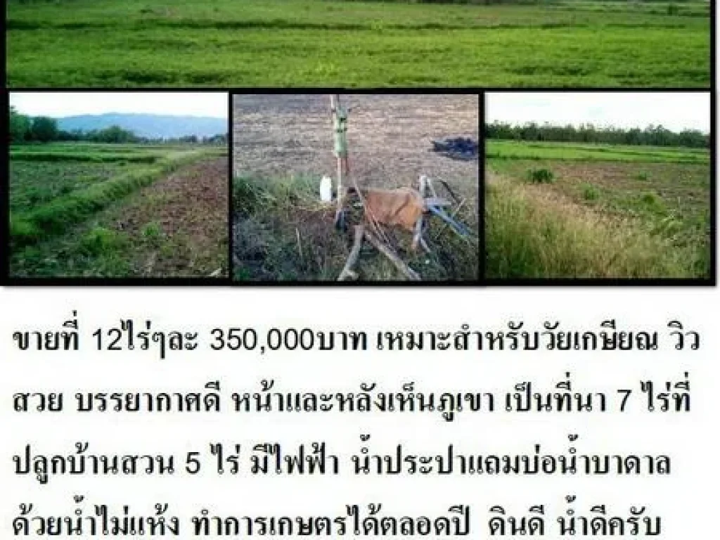 ขายที่ 12 ไร่ ทำเกษตรพอเพียง ครับ อเมือง