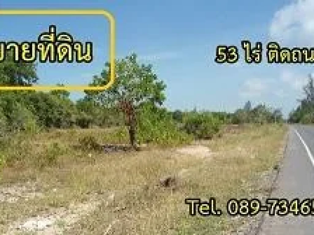 ขายที่ดิน หน้าดินทำเลสวย ติดถนนลาดยางหลังติดทะเล 53 ไร่