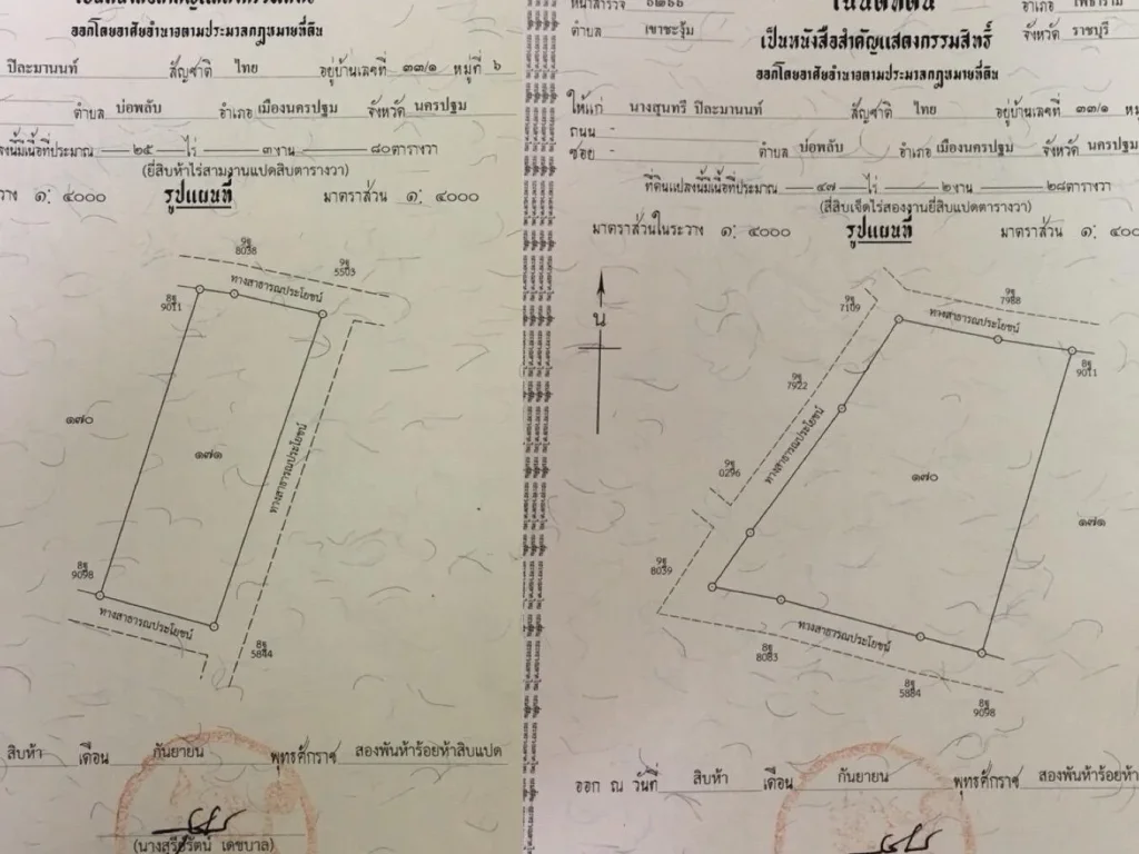 ที่ดินสวย73ไร่ ราคาเร้าใจ โพธาราม หนองกวาง ราชบุรี