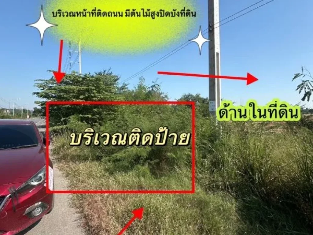 ขายที่ดิน 11 ไร่ 41 ตรว ติดถนน โพธาราม-ราชบุรี