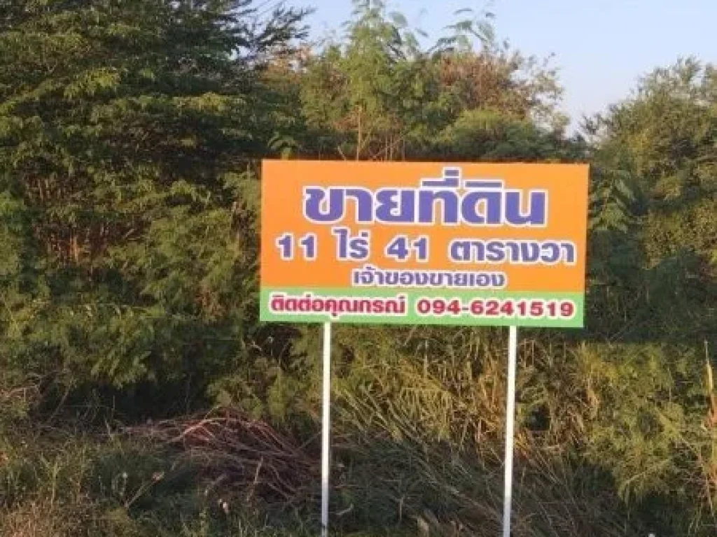 ขายที่ดิน 11 ไร่ 41 ตรว ติดถนน โพธาราม-ราชบุรี