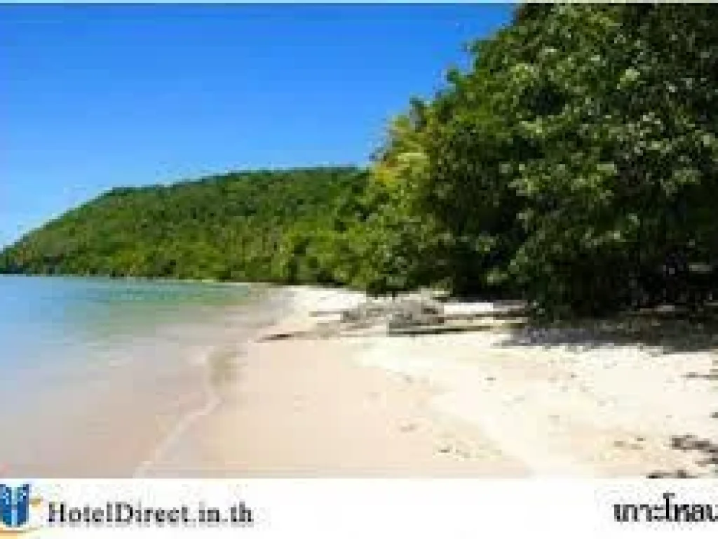 ขายที่ดินที่ เกาะโหลน ตราไวย์ อเมือง จภูเก็ต จำนวน 135 ไร่ Land for sale of Lone Island Rawai Phuket on 135 rai