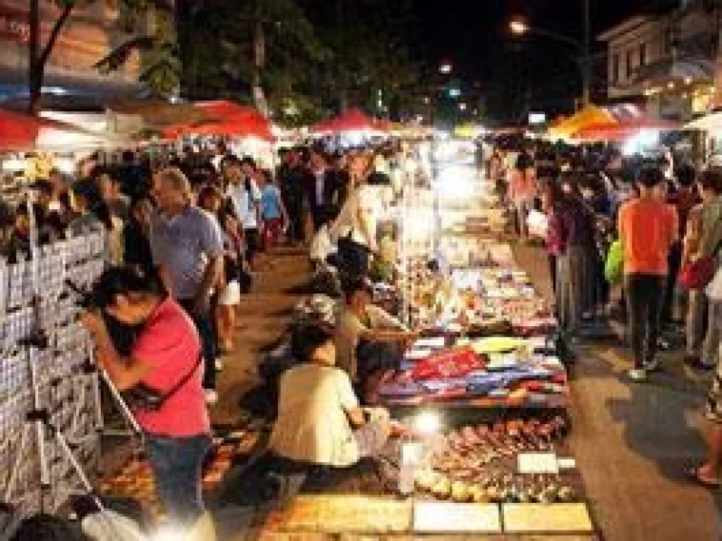 ต้องการ ขาย ที่ดิน ติด ถนนคนเดิน วัดเจดีย์หลวง เชียงใหม่