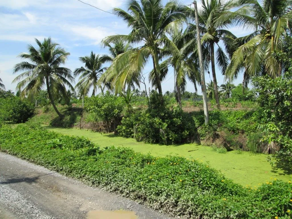 ขายที่ดินเปล่าแปลงสวยติดคลองส่งน้ำ ไว้สำหรับสร้างสถานปฏิบัติธรรม ปลูกบ้านพักอาศัย ทำการเกษตร เนื้อที่ 8-0-86 ไร่ บ้านสัมปทวน ขายยกแปลง 75 ล้านบาท พร้อมโอน