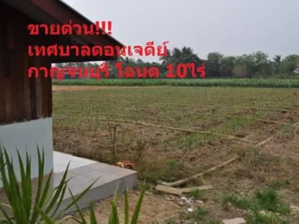 เจ้าของขายเองโฉนดที่ดินพร้อมบ้าน เทศบาลดอนเจดีย์ 10ไร่ด่วน