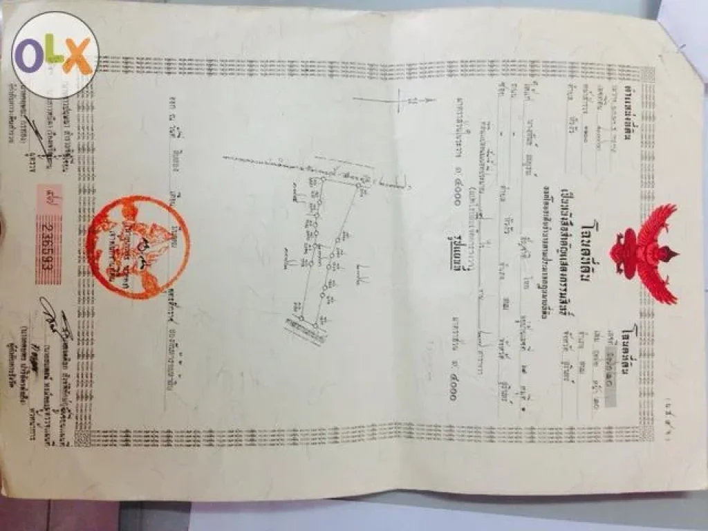 ขายที่ดิน 8ไร่ติดถนน ศรีขรภูมิ-รัตนบุรี แถวๆแยกตาเพรช