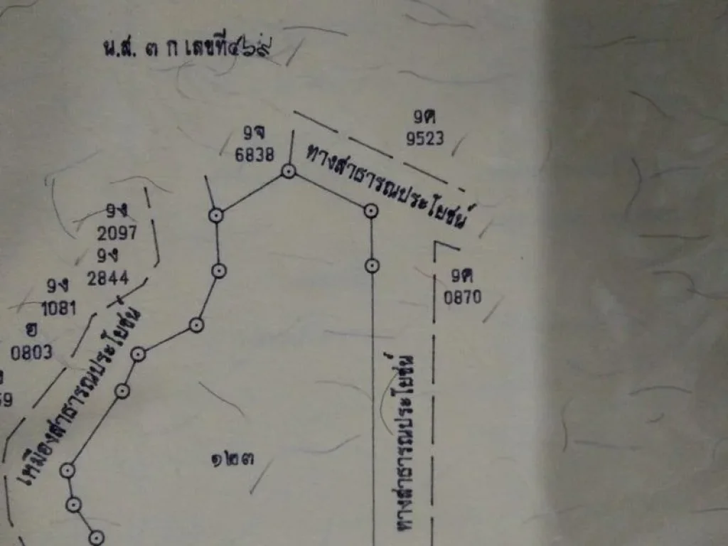 ที่สวนปาล์ม 5 ไร่ 2 งาน หน้ากว้างติดถนน ด้านหลังติดคลองสาธารณะตลอดแนว