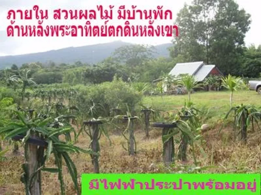 ขายที่ดินสวยหลังคิดตีัรีสอรท อ ภูเรือ