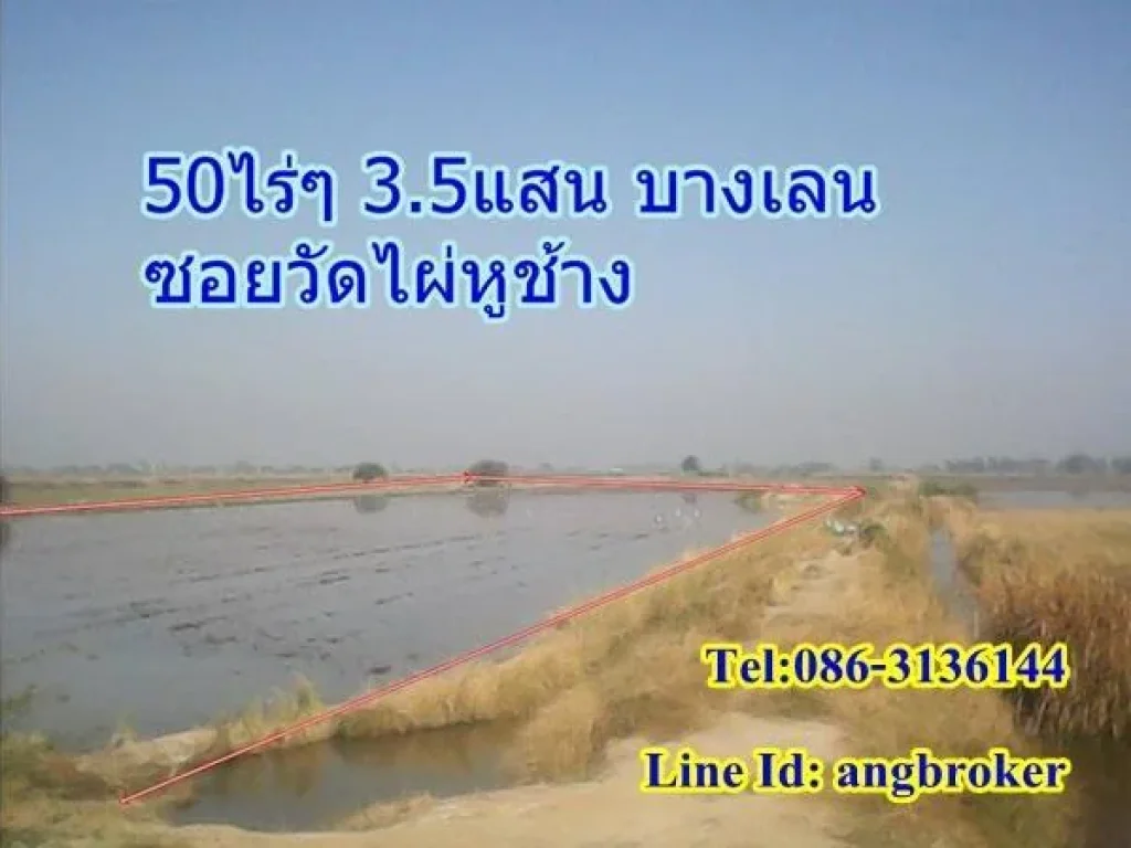 ขายที่ ชายที่นา50ไร่ๆละ 35แสน ซอยวัดไผ่หูช้าง บางเลน ถนนลาดยาง เข้าซอยลึกประมาณ 2 กม