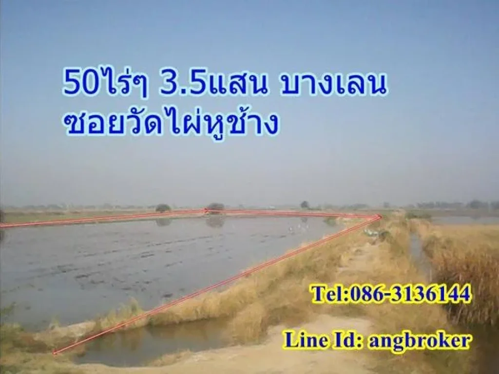 ขายถูกมาก ที่นา 50ไร่ๆละ 35แสน ซอยวัดไผ่หูช้าง บางเลน