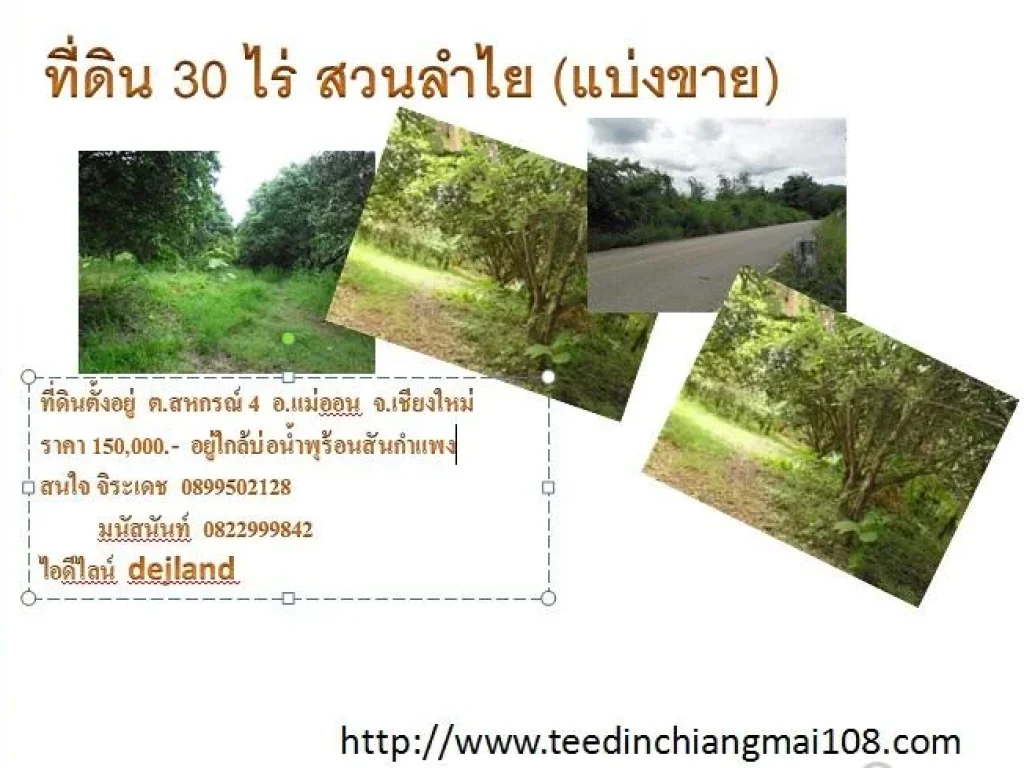 ที่ดินเชียงใหม่ 30 ไร่ แบ่งขาย ไร่ละ150000 บาท