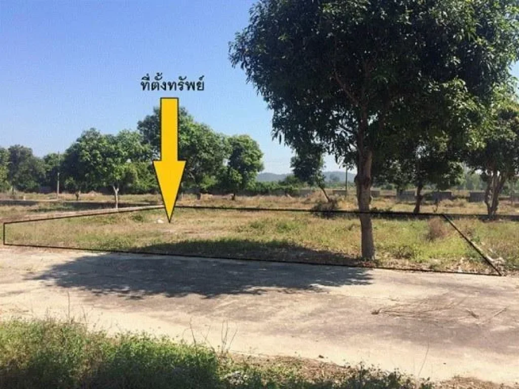 ที่ดินใกล้ลานหินขาว เนื้อที่ 100 ตรว