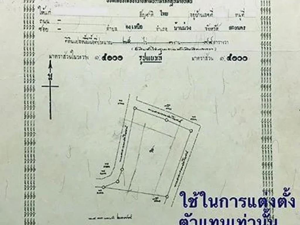 ขายที่ดินพร้อมสวนยาง ตำบลดงเหนือ อำเภอบ้านม่วง จังหวัดสกลนคร เนื้อที่ทั้งหมด 25 ไร่ 3 งาน 94 ตารางวา ต้นยาง 2500 ต้น