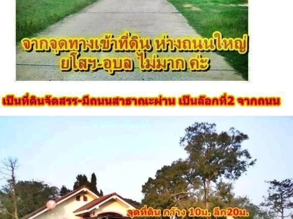 ที่ดินปลูกบ้าน ในเมืองยโสธร ใกล้แม๊คโคร-โรงพยาบาล-แคทวัน-โลตัส-7-11 อยู่ในชุมชน ไม่เปลี่ยว เหลือเพียงล๊อคเดียว ค่ะ