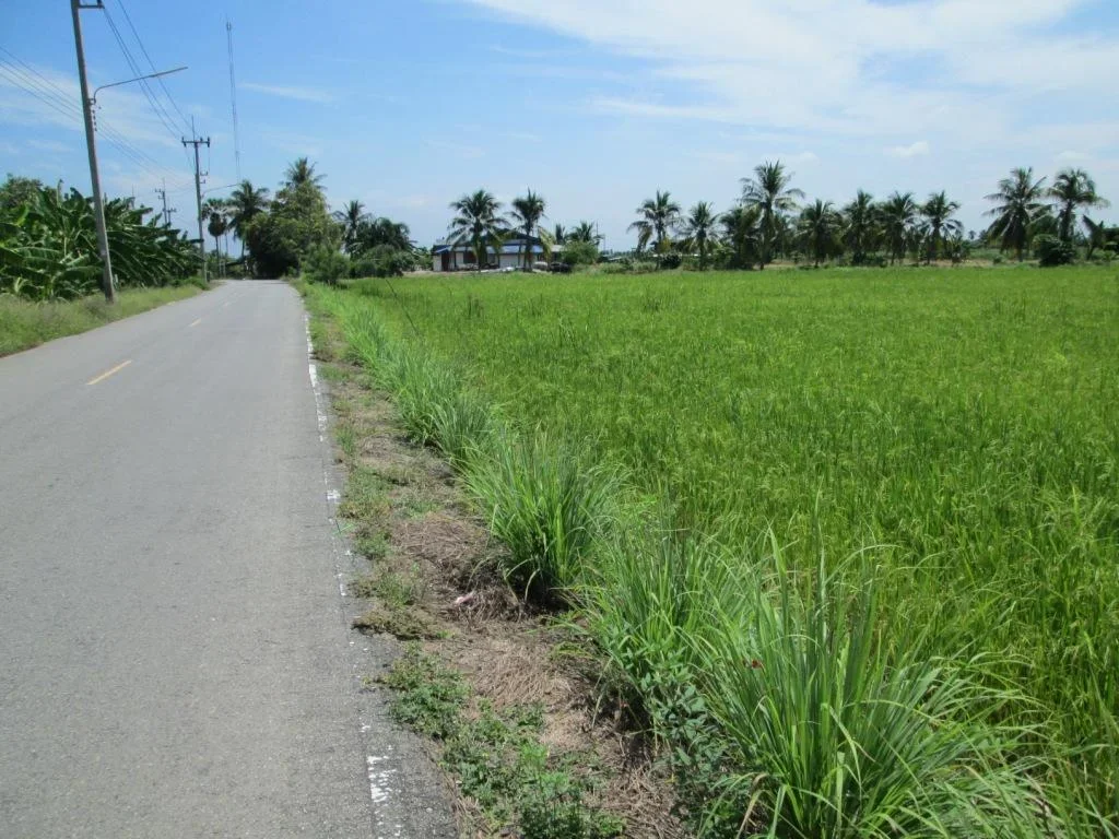 ขายที่ดินแปลงสวย เขตลานตากฟ้า เหมาะสำหรับปลูกบ้านที่พักอาศัย ทำนา การเกษตร สวนกล้วยไม้ เนื้อที่ 5-1-48 ไร่ ขายไร่ละ 1 ล้านบาท พร้อมโอน