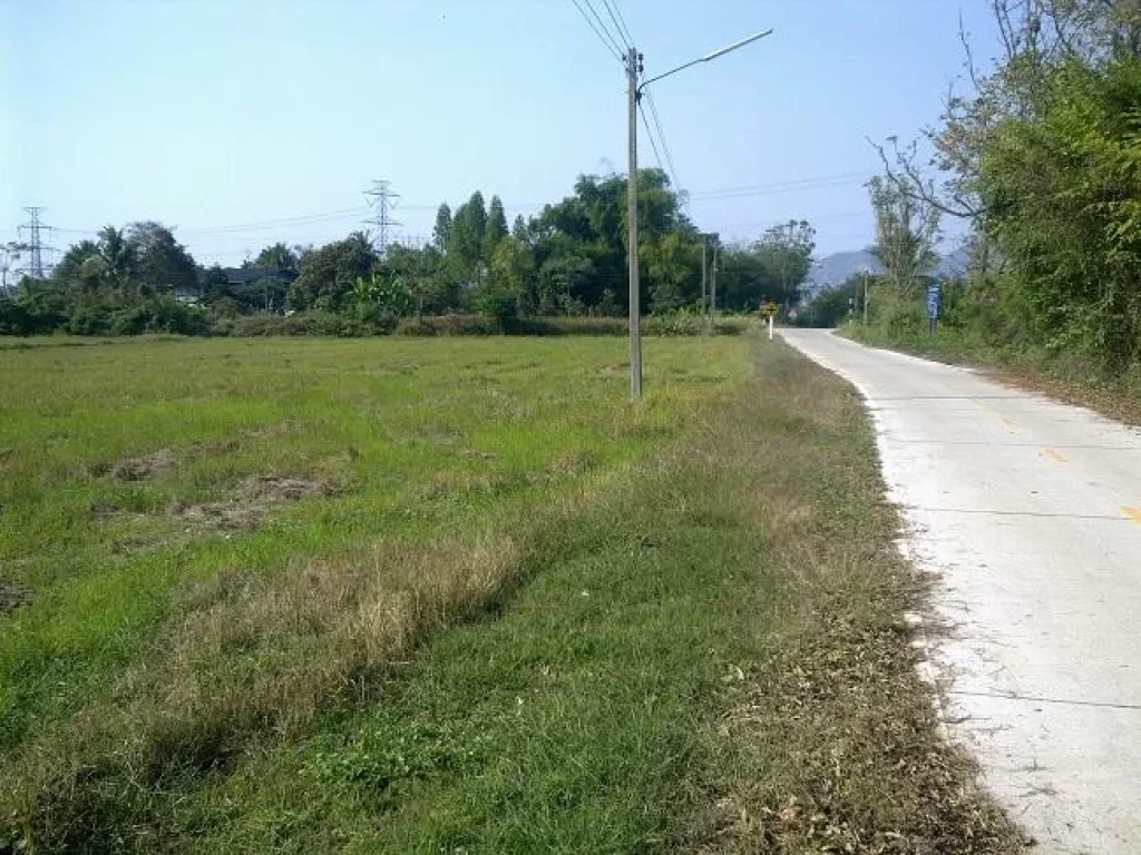 ที่ดิน3ไร่ติดถนนราดยางไฟฟ้าน้ำประปาพร้อมในหมู่บ้านห้วยจำปาหลังค่ายทหารเขากรวด อเมืองราชบุรี ขายไร่ละ400000บาท