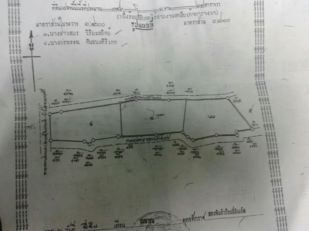 ขายที่ดิน 146-3-69 ไร่ ติดถนนสาธาระณะ 2 ฝั่ง