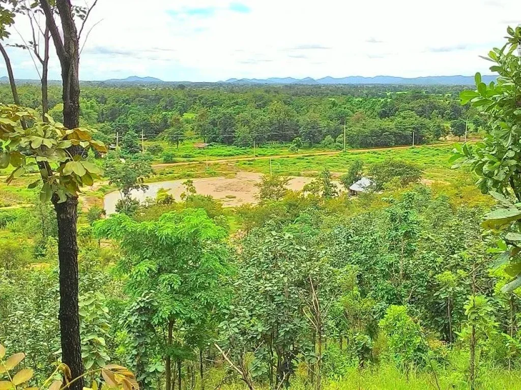 ขายที่ดิน 35 ไร่ ติดเขา บรรยายากาศดี ชัยนาท