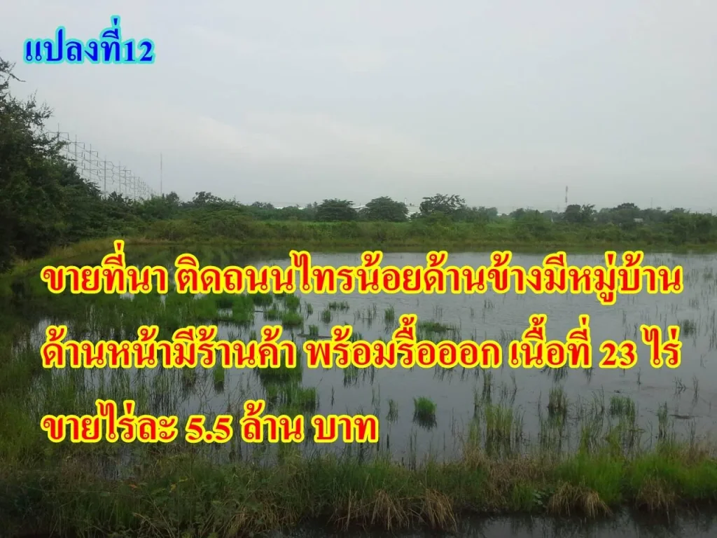 ขายที่นา 23ไร่ไทรน้อย