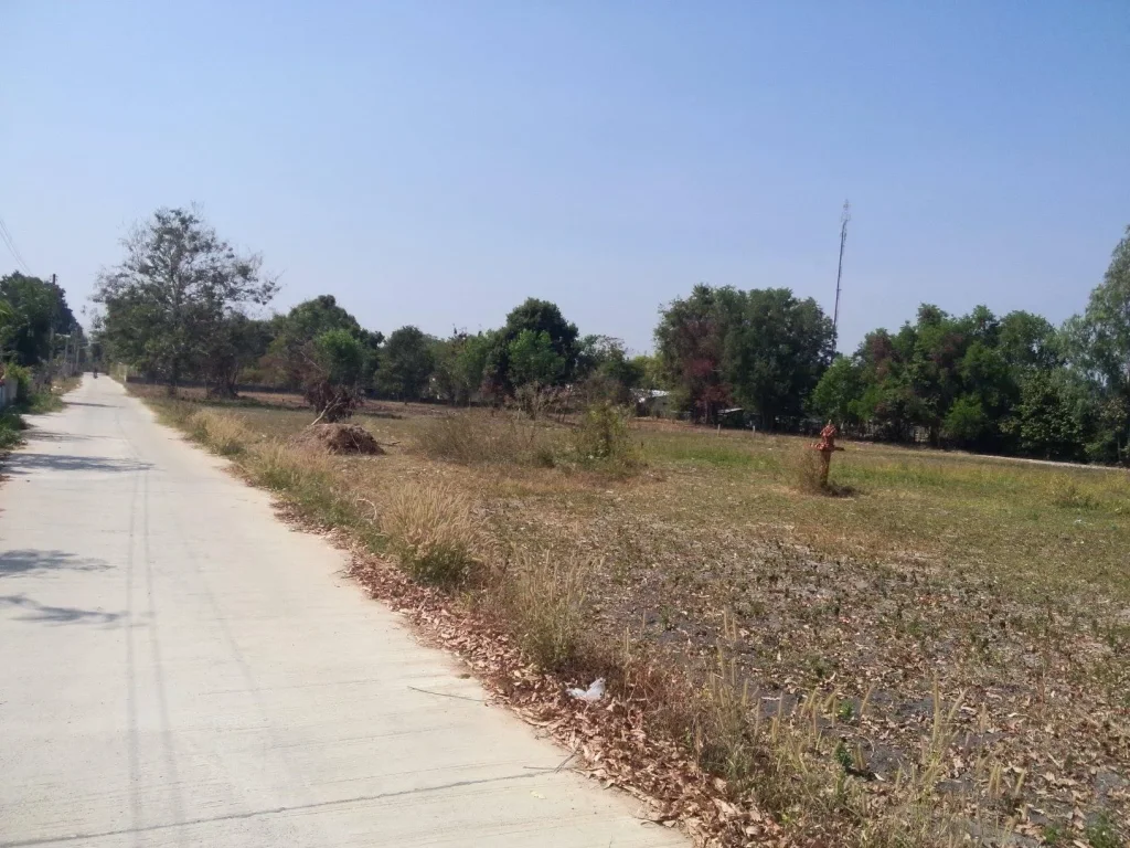 ขายที่ดิน1 ไร่บ้านทางสาย เข้าซอยข้างโรงเรียนบ้านทางสาย500เมตร