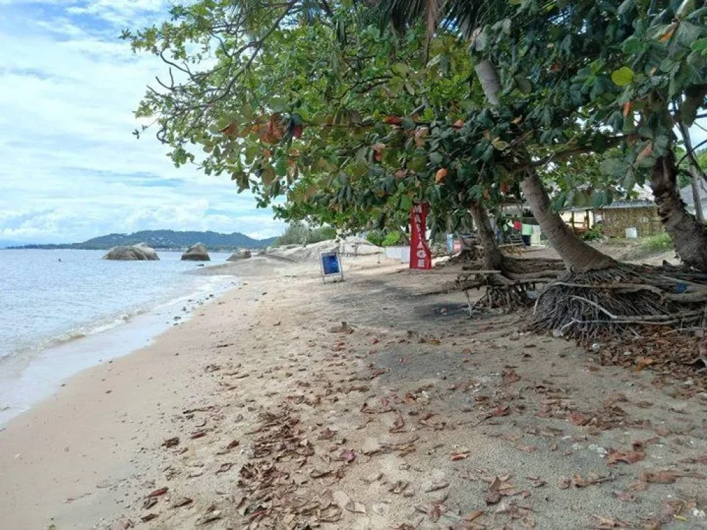 ขายที่ดินติดทะเลชายหาดเกาะสมุย3ไร่ตรงละไม