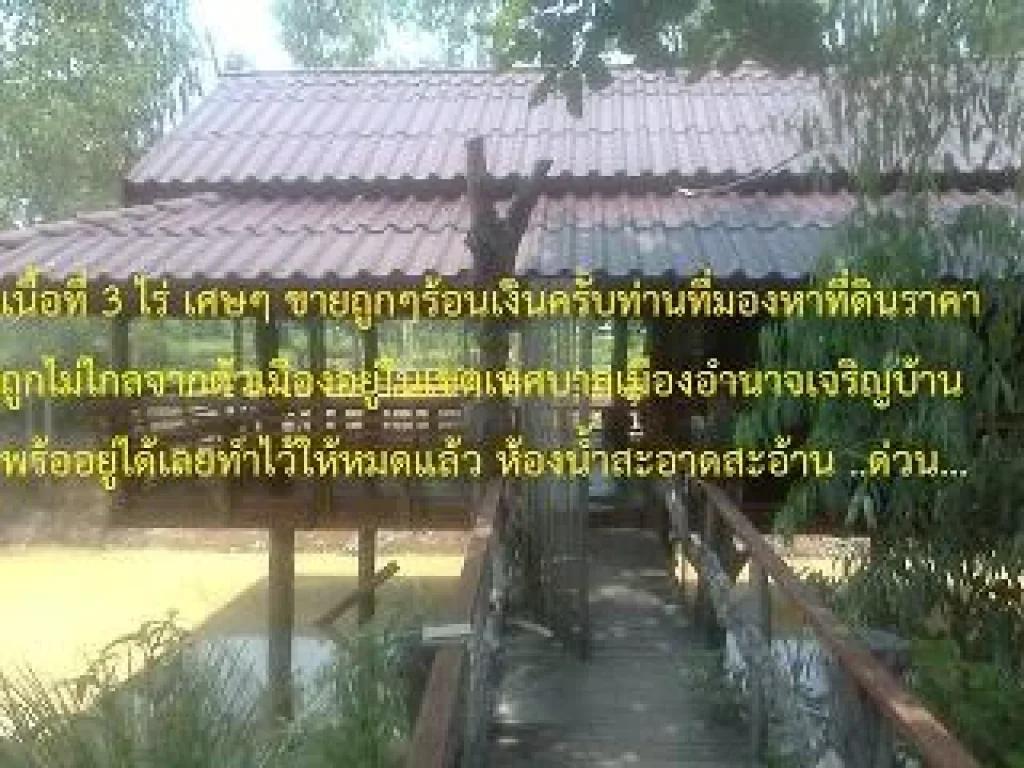 ต้องการขายที่ดินชาญเมืองห่างจากตัวเมือง 1 กม มีสระน้ำ มีศาลาทรงไทยพร้อมอยู่ มี 1 ห้องนอน 1 ห้องน้ำ มีน้ำไฟฟ้าพร้อม