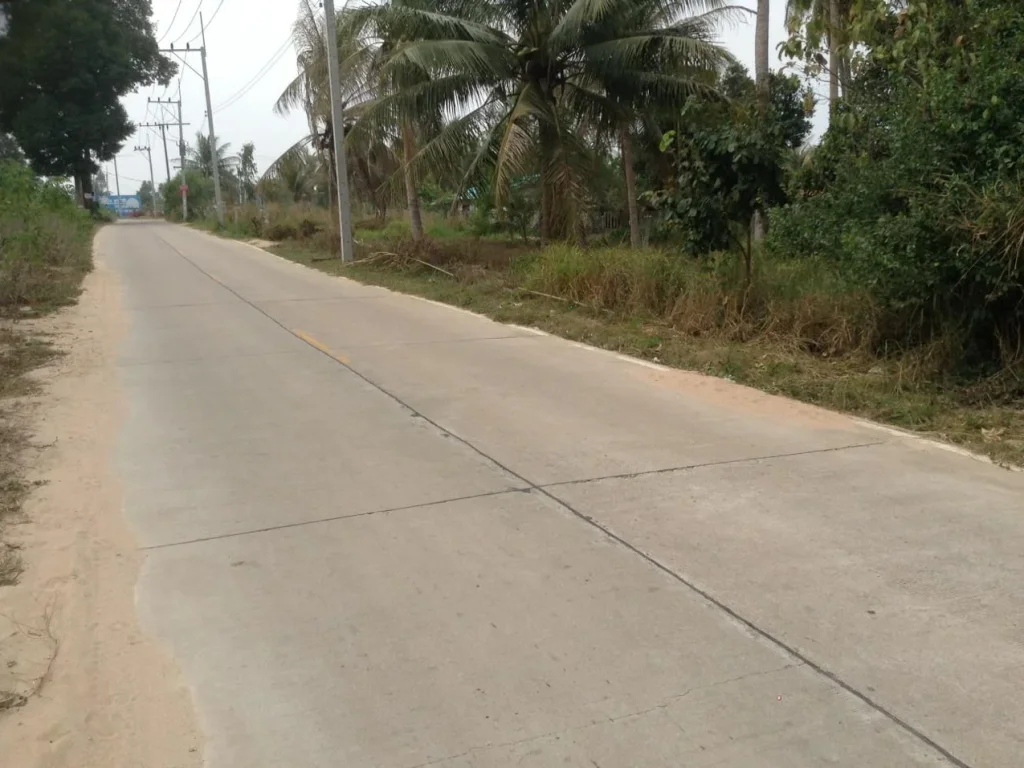 ที่ดินถูกๆหน้าถนนหลัก 3 ไร่เศษ ใกล้เทศบาลตะเคียนเตี้ย