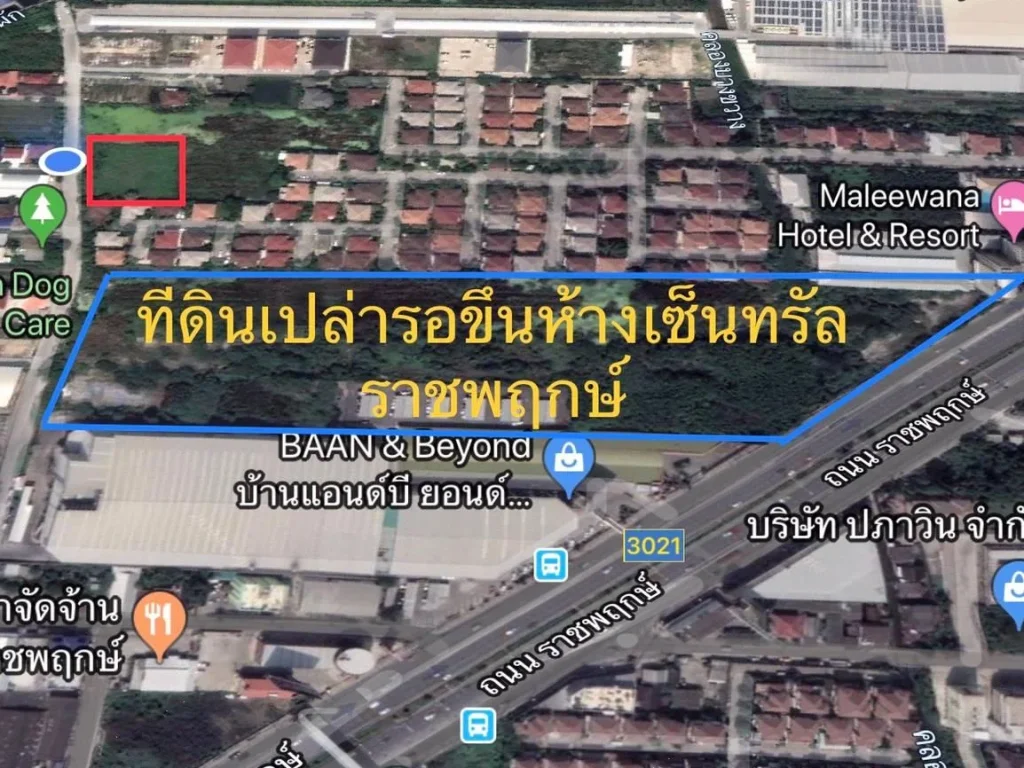 ขายที่ดินเนื้อที่1-2-93ตรว ติดถนนอนาคตมีโครงการสร้างห้างเซ็นทรัล เหมาะสำหรับทำคอนโด อพาร์ทเม้น ราคา130000ตรว