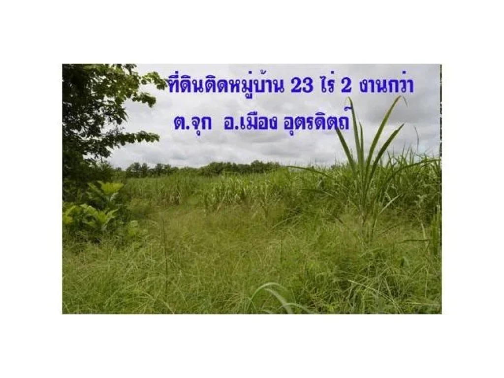 ขายที่โฉนด ดิตหมู่บ้าน ตผาจุก อเมือง