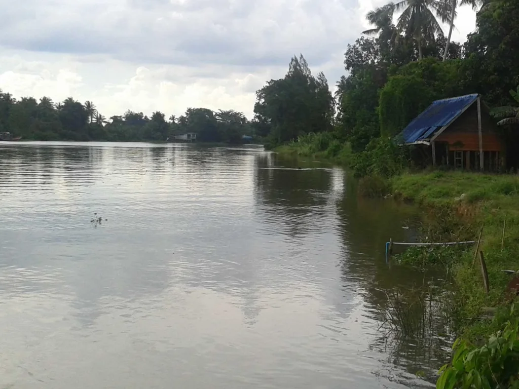 ขายด่วนที่ดินโฉนดติดริมแม่น้ำตาปีทำเลดี