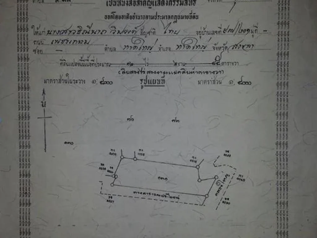 ขายสวนปาล์ม 12-2-85 ไร่ บ้านคอกม้า ตำบลสะพลี