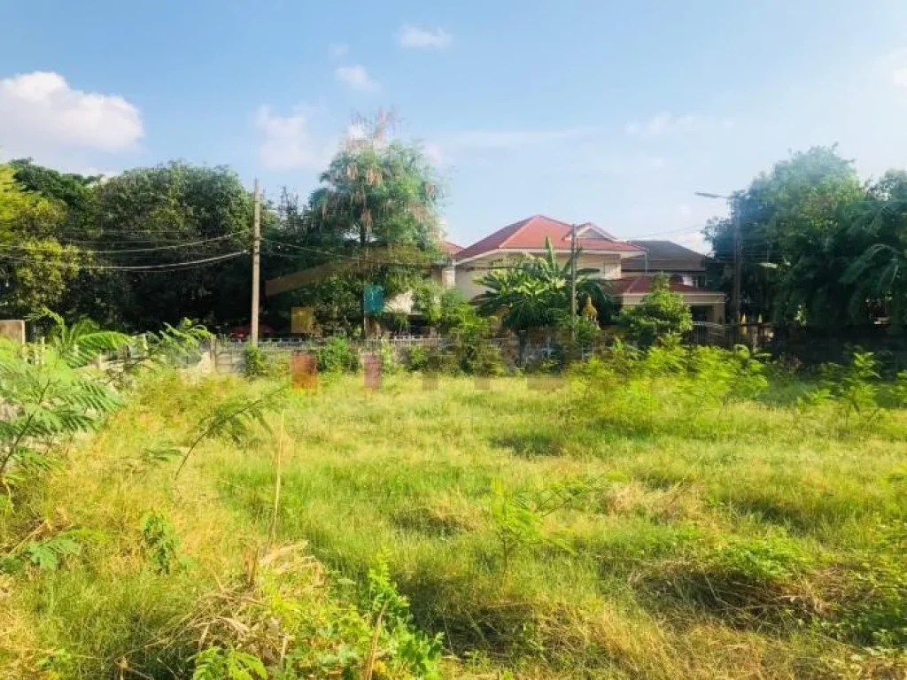 Land for sale 133 sqwah Sukhumvit 101 Punnawithi in the residential area