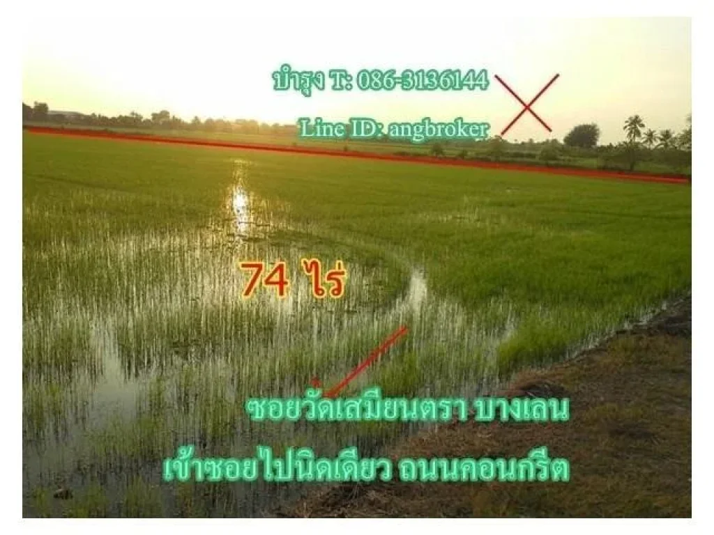 ขายด่วน ที่นา 74ไร่ 24 ไร่ ซอยวัดเสมียนตรา บางเลน